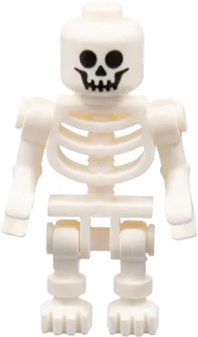 Skeleton